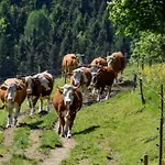 Urlaub Auf Dem Haberlhof *