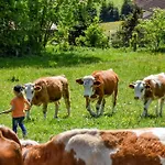 Urlaub Auf Dem Haberlhof