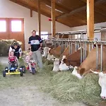 Urlaub Auf Dem Haberlhof Lohberg