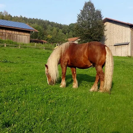 Farm stay Urlaub Auf Dem Haberlhof