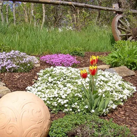 Farm stay Urlaub Auf Dem Haberlhof *