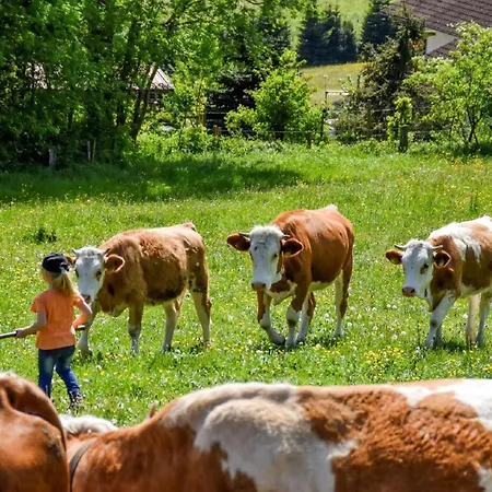 Urlaub Auf Dem Haberlhof